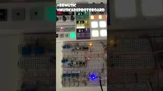VCA AS2164 #musicadeprotoboard  #modularsynth #BreadboardMusic