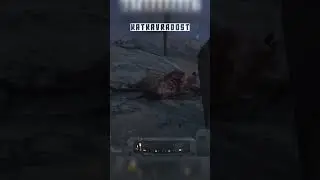 Скучно идем, ребята. 🤪 #katkavradost #fallout4 #fallout #fallout76 #falloutnewvegas #shorts #short