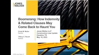 Boomerang: How Indemnity and Related Clauses May Come Back to Haunt You