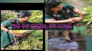 ଆଜି ବାଡ଼ିରୁ କଣ କଣ ତୋଳିଲି, କାହାକୁ ଦେଖିଲି 💗#odia bohu pooja# 💗