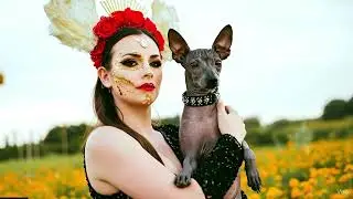 CGEP D&iacute;a de Muertos