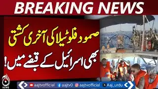 Global Sumud Flotilla | Israel Seizes Ship | Volunteers Arrested | Gaza Aid - Pakistan news