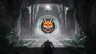 Fox Music Labirynt