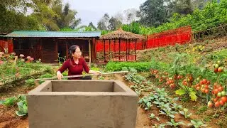 The daily life of a woman living in the countryside. How to build a water tank using red bricks.