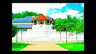 Sion Villa | The best budget friendly hotel to stay in Kandy @Sion Villa