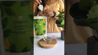 Spearmint and Orange Herbal Tea from Amazon #Amazonfinds #tea