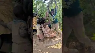 Where trees become swings and nature becomes home of joy