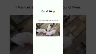 IQ= -220: have you ever seen -IQ level and watch this video #shorts #iq #iqtest #IQlevel