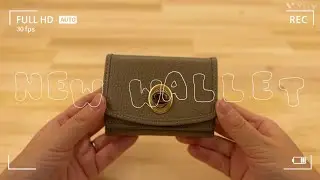 【HASHIBAMI】新しいお財布購入 ｜ 持ってる財布紹介 ｜ New Wallet unboxing