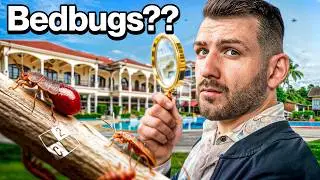 Неприемлемая ситуация с постельными клопами