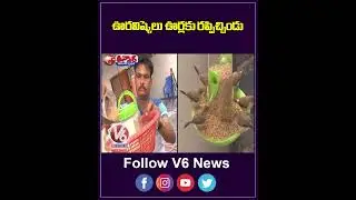 ఉరవిష్కేలు ఊర్లకు రప్పించిండు | Karimnagar's Ramesh Transformed His Home Into A Sanctuary | V6News