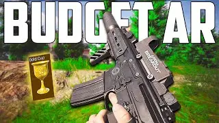 This May Be The BEST Budget AR Right Now! | Arena Breakout Infinite