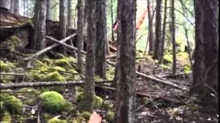 Shawnigan Lake Log Ride - K2 Trail