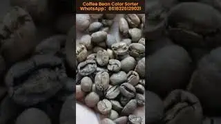 Coffee Sorter Coffee Color Sorter Machine#coffee #coffeebean #sortingsystem  WhatsApp:8618326129021