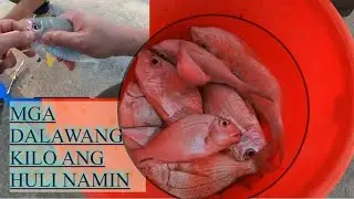 FISHING ADVENTURE AL CORNICHE DOHA QATAR 🇶🇦