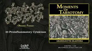 GRANULOCYTIC BLASTOMA  