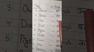 10 Bird's name in English and Hindi #eaducation #knowledge #english #success #learning