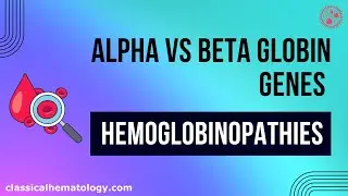 Differences Between Alpha vs Beta Globin Genes - Hemoglobinopathies