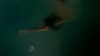 Markitus:The pool  worm