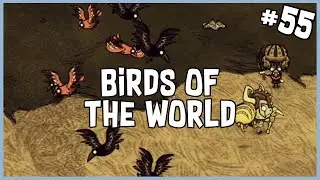 🌙 Birds of the World | Don't Starve Together (Return of Them) Gameplay (Part 55)
