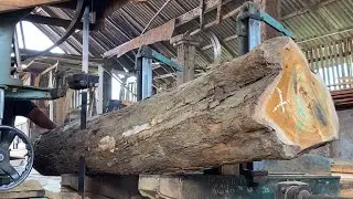 The process of sawing teak wood using a bandsaw machine in a wood factory
