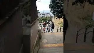 도쿄 소도시 여행 tokyo trip