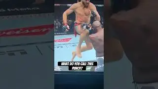 #ufcshorts #ufc #mma #fightnight #knockout #jiř&iacute;proch&aacute;zka #jiriprochazka #khalilrountree #punching