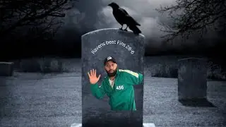 Dolphins DiveBar: TNF beat down 