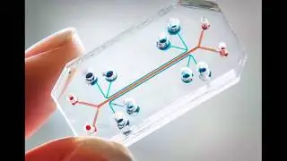 The Physicians Committee: We don&rsquo;t just imagine, we create.