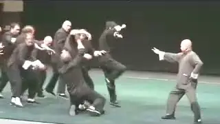 Chi explosion ( Tai Chi Chuan Yang style/Master Chu King Hung)