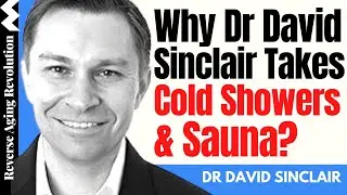 Why Dr David Sinclair Takes Cold Showers & Sauna? | Dr David Sinclair Interview Clips