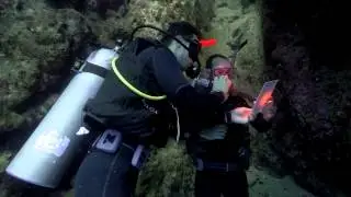 Poseidon Divers
