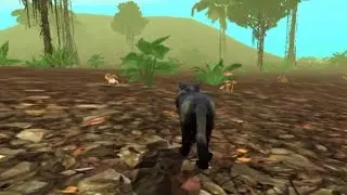 wild panther sim/hunting wild panther