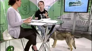 Luis Bernardo en la TPA con perro lobo checoslovaco.mpg