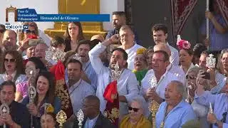 HERMANDAD DEL ROCIO DE OLIVARES. ROCIO 2025. VILLAMANRIQUE