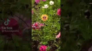 Singing Flower #metal