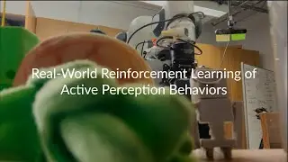 AAWR: Real World RL of Active Perception Behaviors @ NeurIPS2025