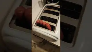 EVERY TOASTER IS A HOT DOG COOKER!