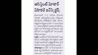 assistant motor vehicle inspector