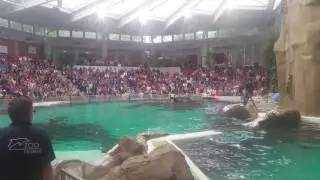 Demonstranten gef&auml;hrden die Duisburger Delphine - Zoobesucher kehren den Demonstranten den R&uuml;cken