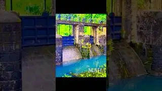 Relaxing View at Poomala Dam | Nature Lovers Clip 💚🌿#trending #viralvideo #shorts