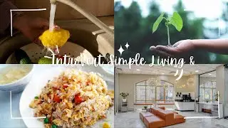 Aesthetic Day in My Quiet Life Cooking, Learning, and Planting in Rwanda