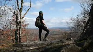 spruce hill