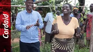Building Resilience in Rural Burundi | Cordaid