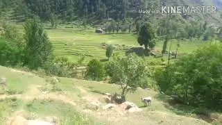 Battagram shingri beautiful view