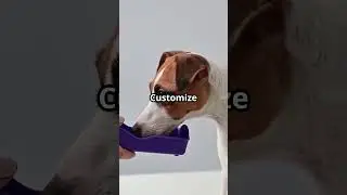 AI Gadget creating Talking Dogs!  #artificialintelligence #ai #aidogs #aidog