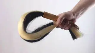 Tingly Horse Hair whip