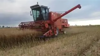 ☆Żniwa 2019☆ - Bizon & Fortschritt ㋡ Koszenie rzepaku✔