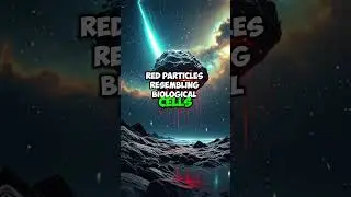 The Mystery of Kerala&rsquo;s Red Rain
