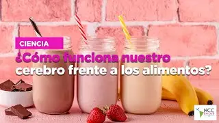 &iquest;C&oacute;mo funciona nuestro cerebro frente a los alimentos?